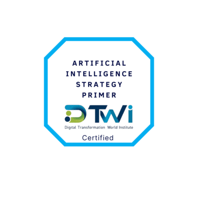 AI strategy primer